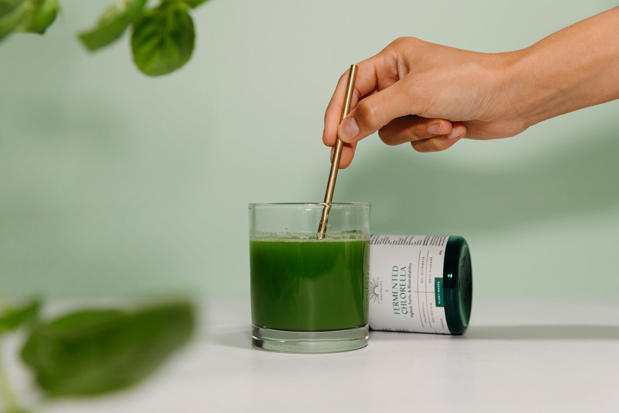 Fermented Chlorella Powder