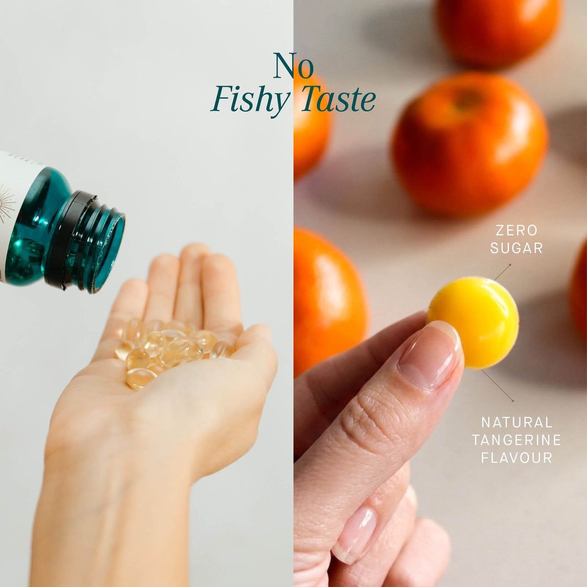 Family Clean Omega-3 Bundle