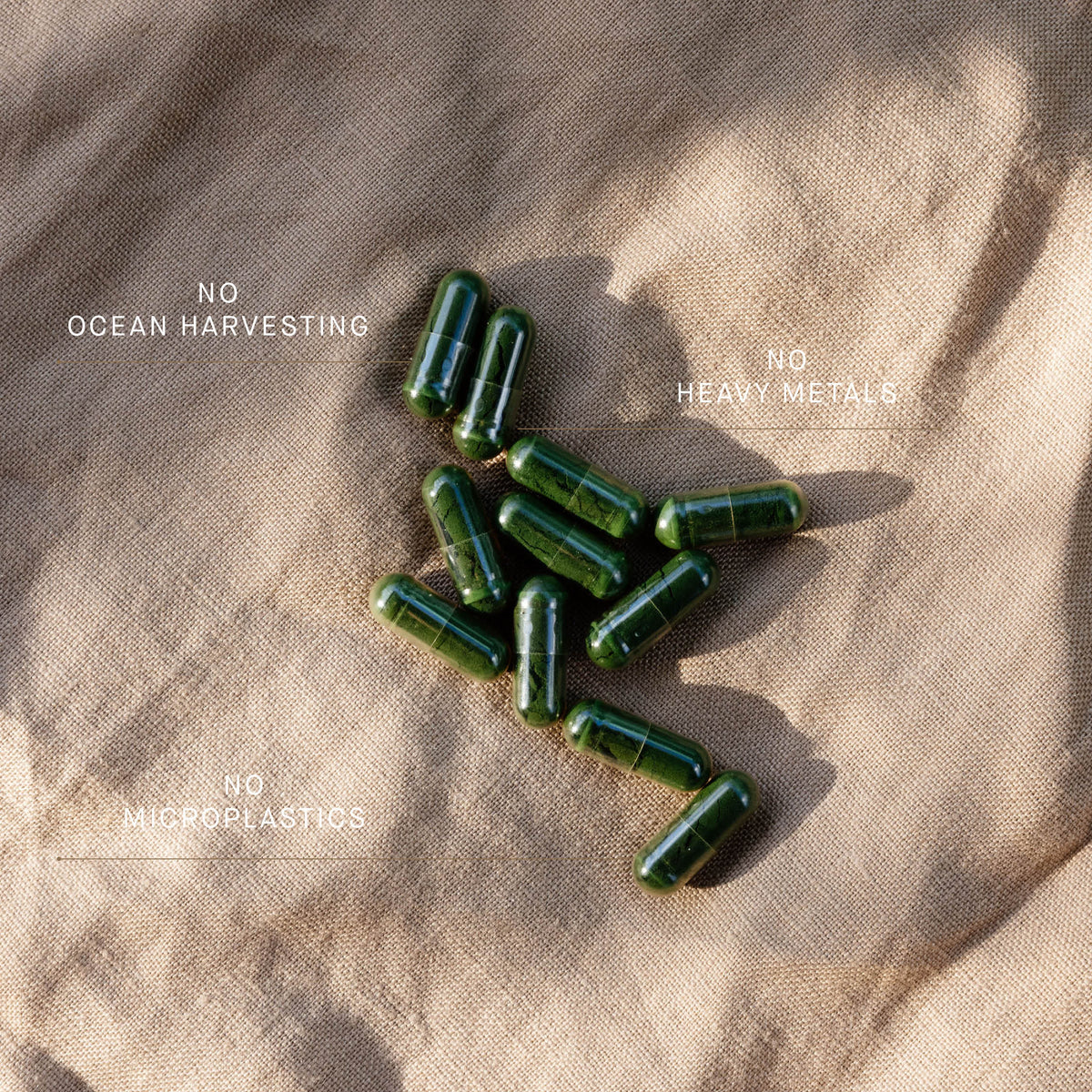 Phytoplankton Omega & Multi EPA Capsules