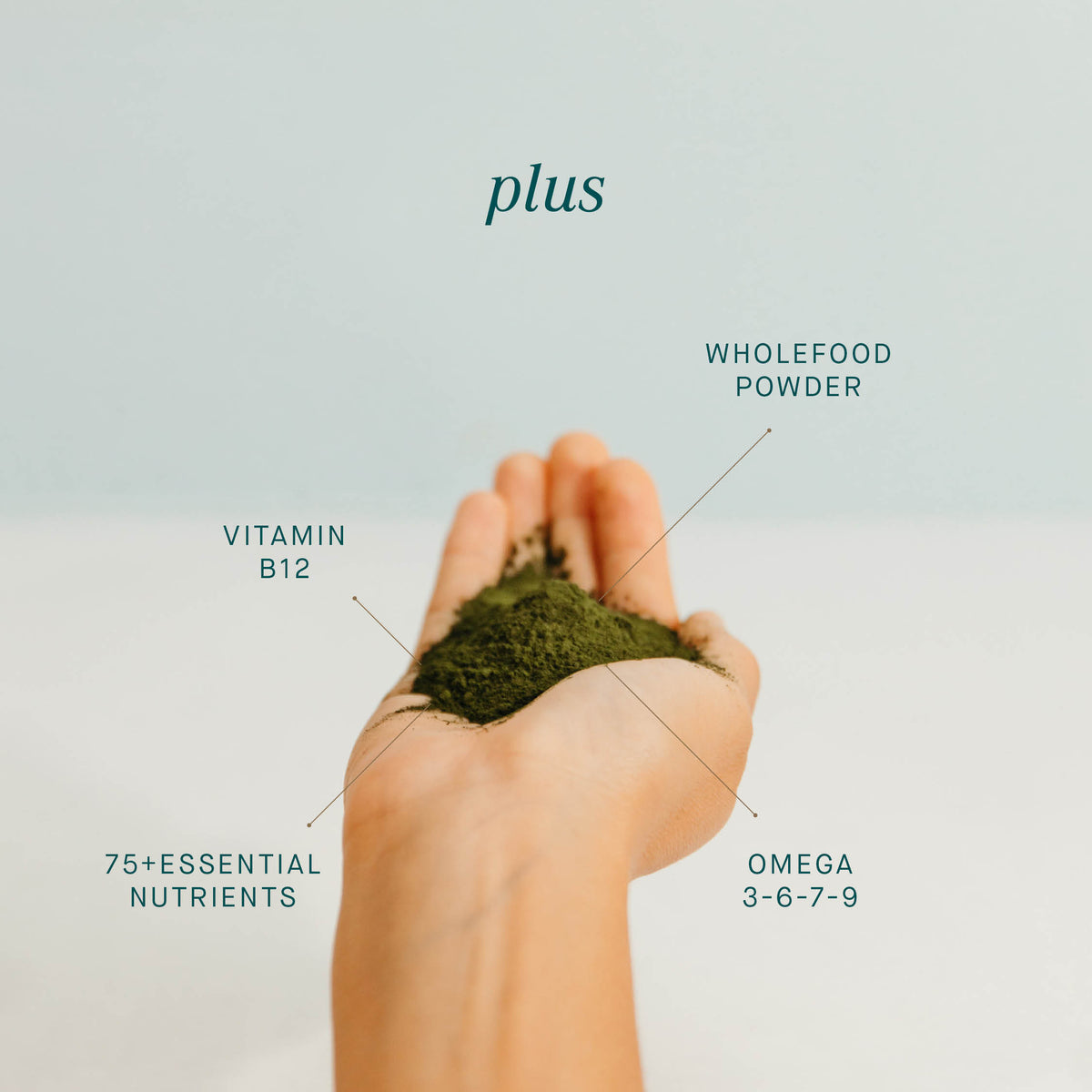 Phytoplankton Omega & Multi EPA Powder - Lime & Vanilla